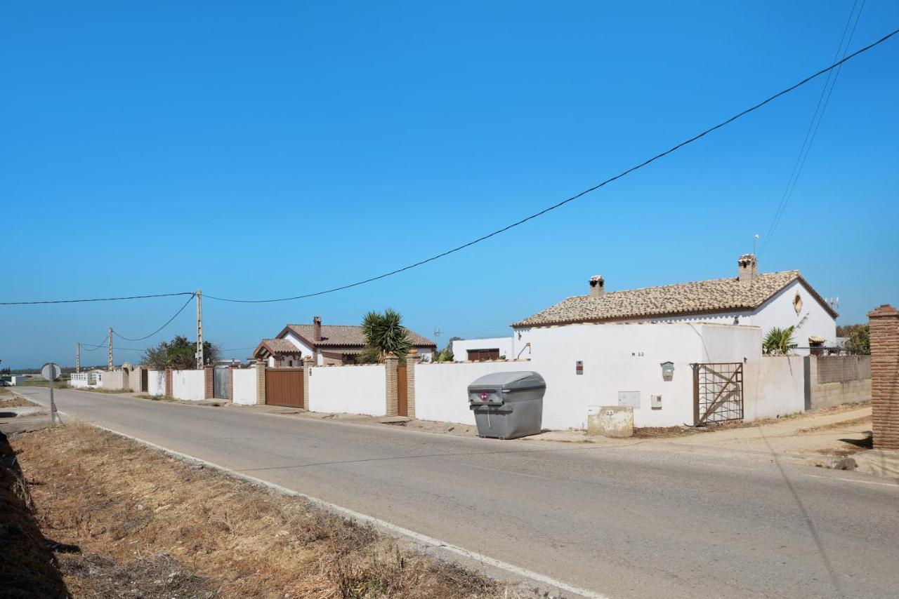 Currimar Daire Conil De La Frontera Dış mekan fotoğraf